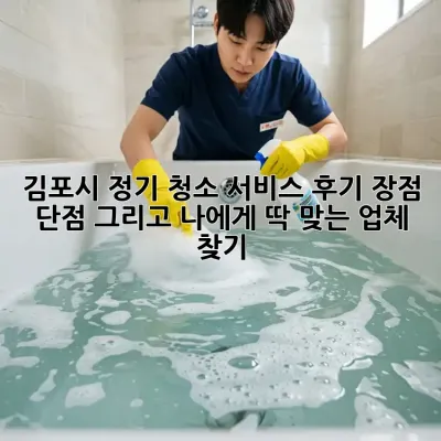 김포시 정기 청소 서비스 후기: 장점, 단점, 그리고 나에게 딱 맞는 업체 찾기!