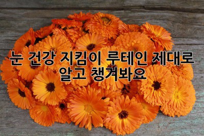 눈 건강 지킴이 루테인, 제대로 알고 챙겨봐요!
