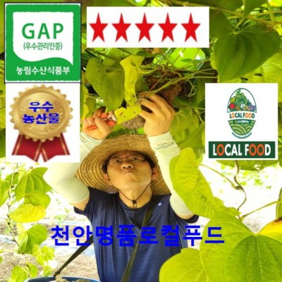 놓치면 후회! 함양 하늘마열매마 솔직 후기 & 꿀팁🍯