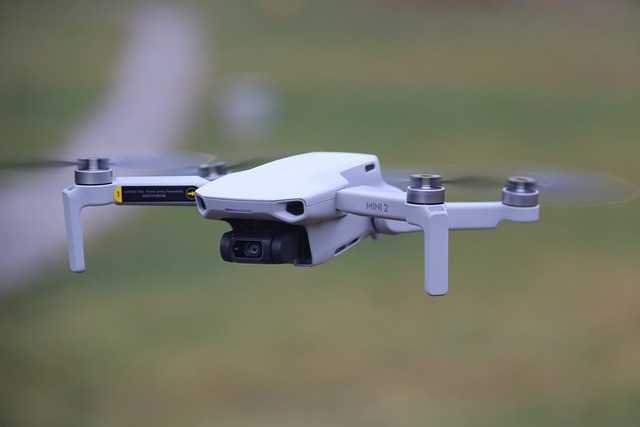 DJI005.jpg