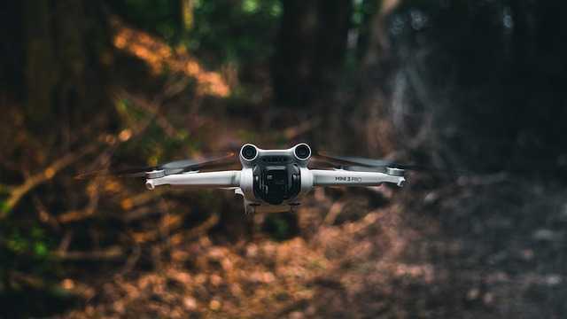 DJI008.jpg
